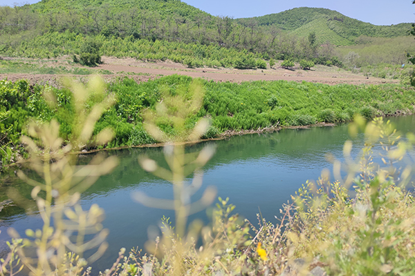 沈阳公墓景观