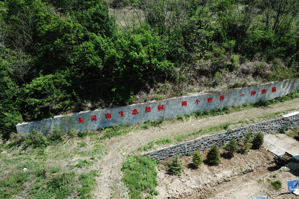 沈阳墓地设计包括哪些步骤和内容