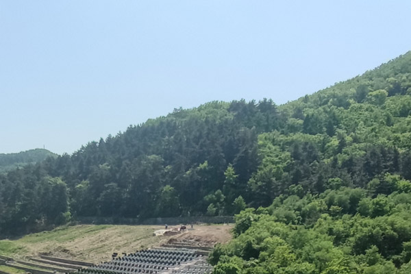 沈阳陵园如何确保续费后墓位的维护？