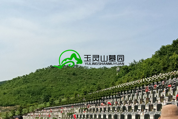 沈阳墓园土地会不会被占用？如何确保墓地稳定性？