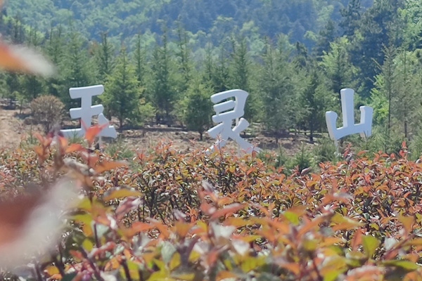 沈阳墓地的陵墓修复和翻新工程？