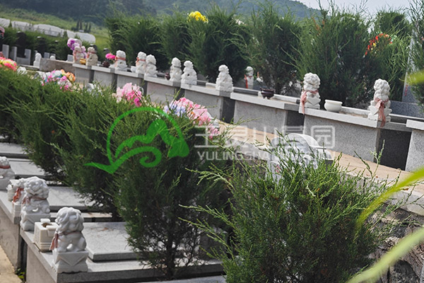 沈阳陵园选择中的地形与环境考量有哪些？