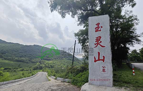 沈阳浑南区墓园