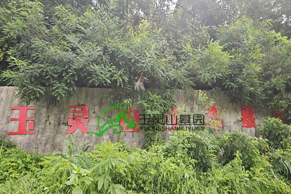 玉灵山公墓构建和谐陵园，守护哀思之所