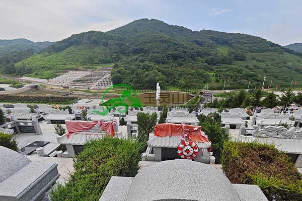 沈阳玉灵山墓园生态葬法引领殡葬新风尚