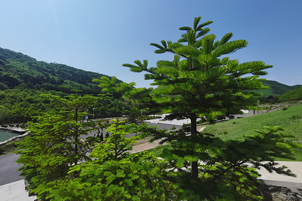 沈阳墓园真山真水的自然环境选择玉灵山生态墓园